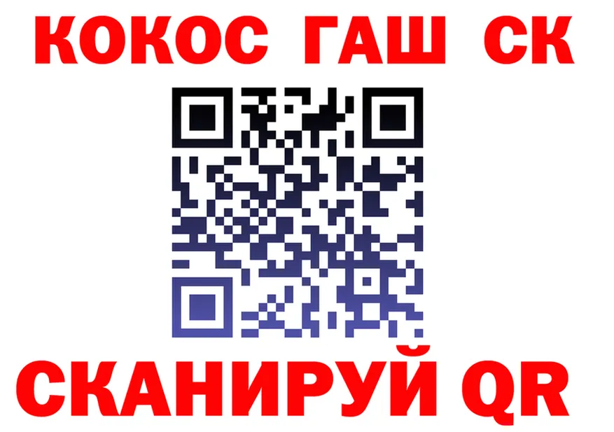 COCAIN Эквадор ссылка мориарти гидра Киров