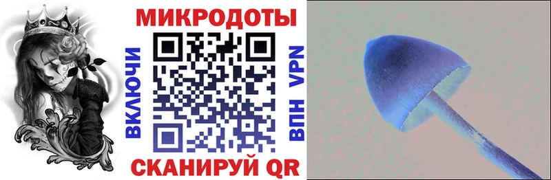 Галлюциногенные грибы прущие грибы Купить закладки Киров