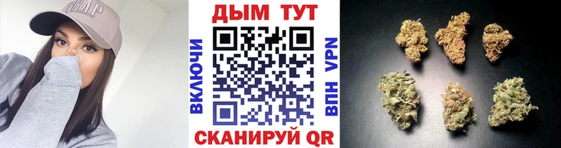 Купить закладки  Киров  Бошки марихуана MAZAR 